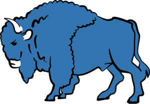 tdb buffalo icon